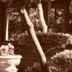 Sonstige