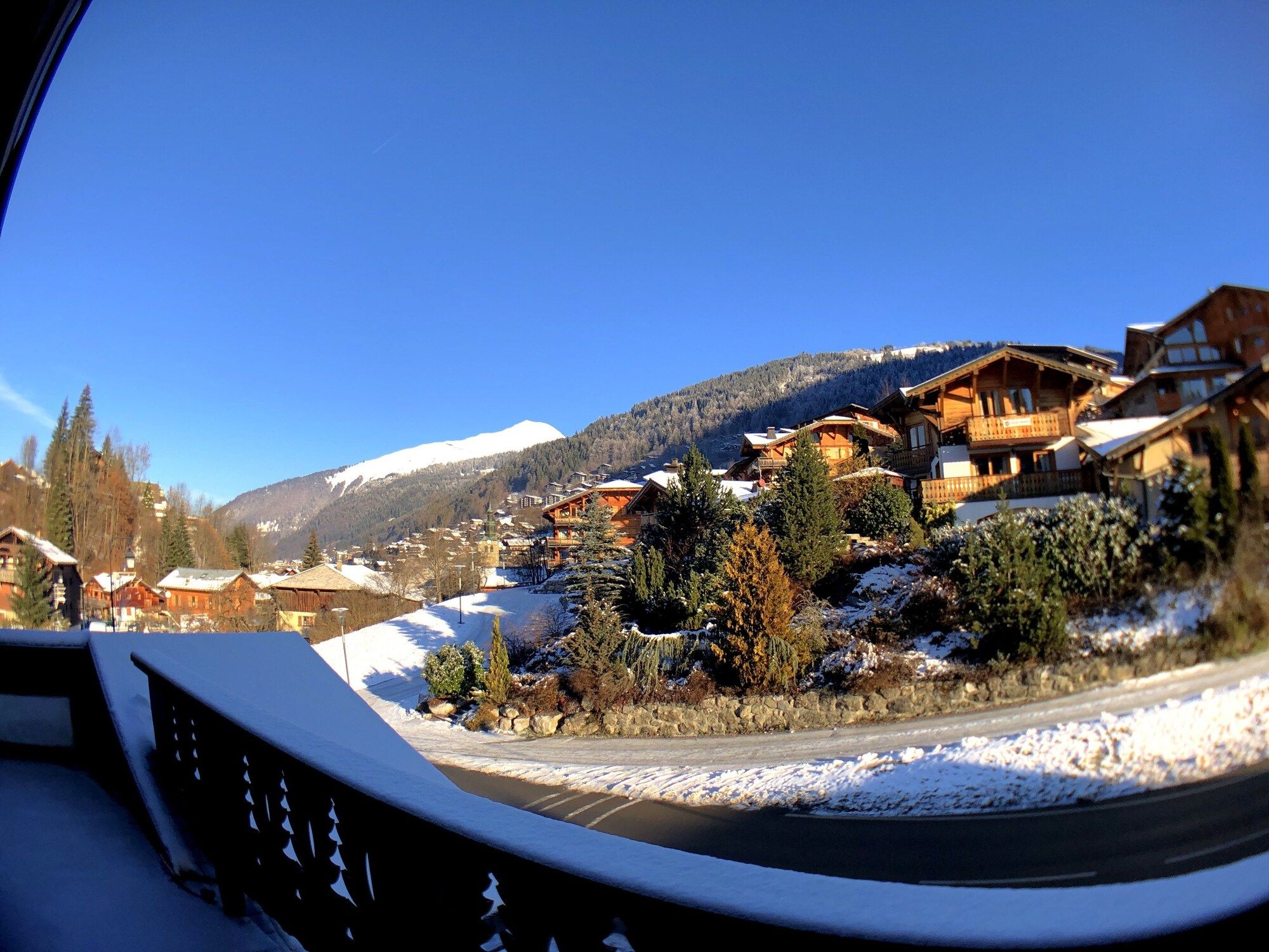 Sonstige Foto