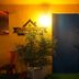 Sonstige