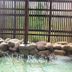 Sonstige