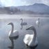 Sonstige