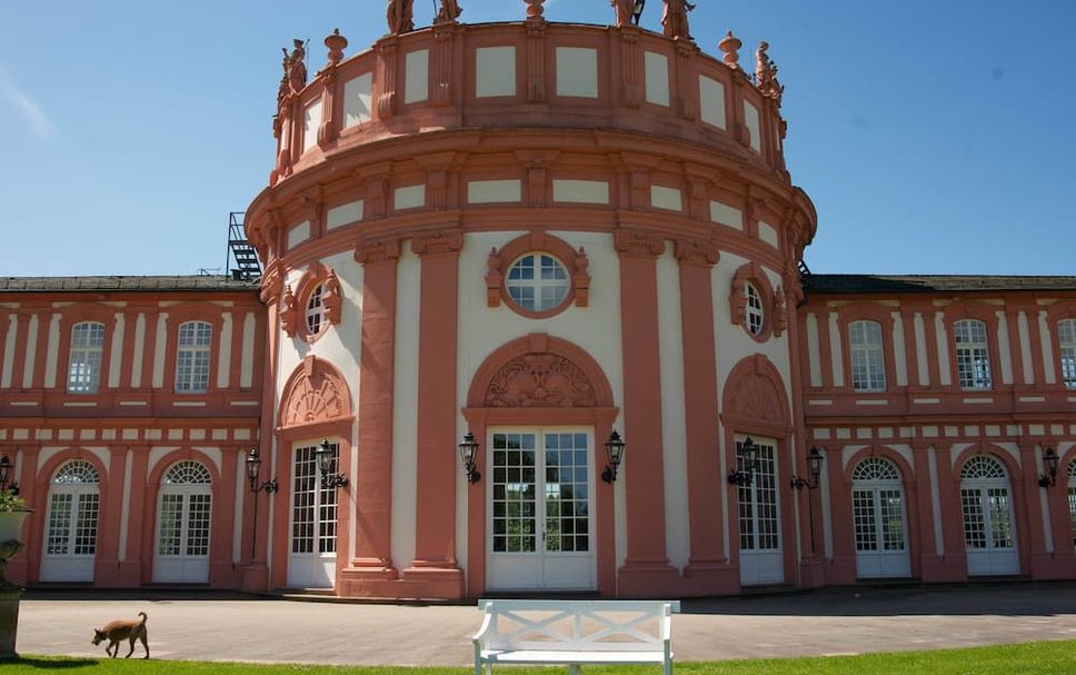Sonstige Foto