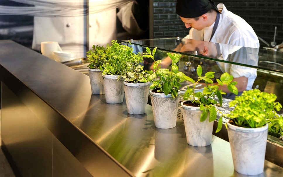 Restaurant Foto