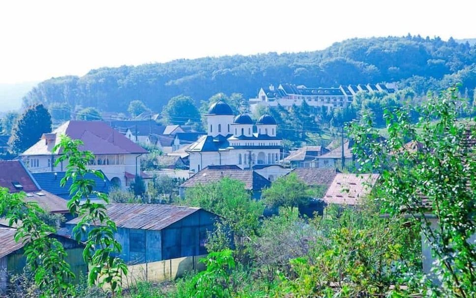Sonstige Foto