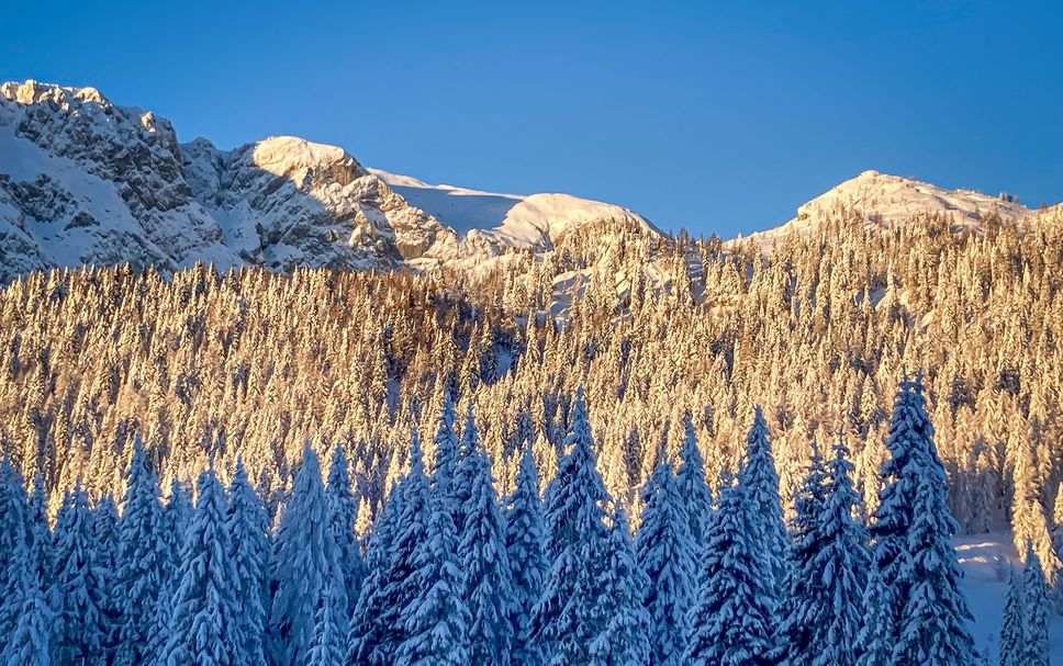 Außenansicht Foto