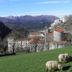 Sonstige