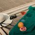 Sonstige