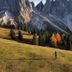 Sonstige
