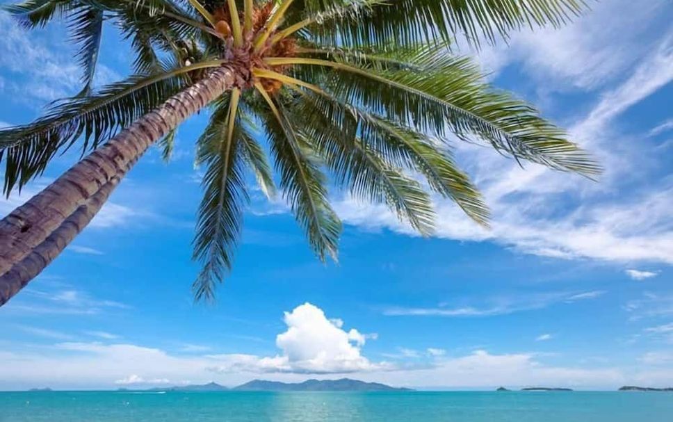 Strand Foto
