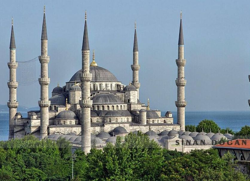 Sonstige Foto