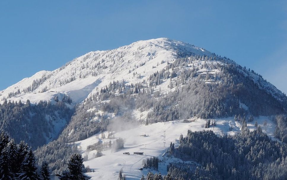 Sonstige Foto