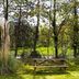 Sonstige