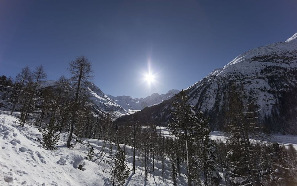 Außenansicht Foto