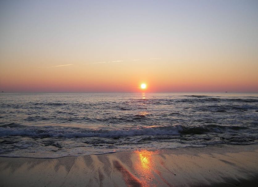 Sonstige Foto