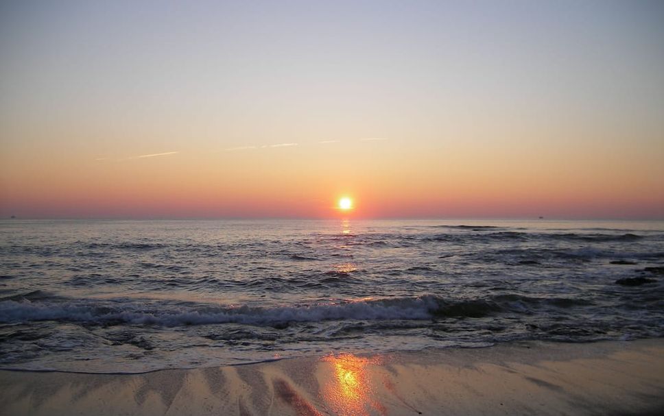 Sonstige Foto