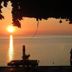 Sonstige