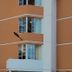 Sonstige