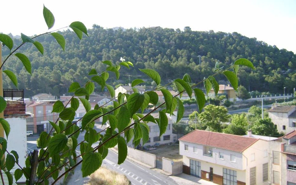 Außenansicht Foto