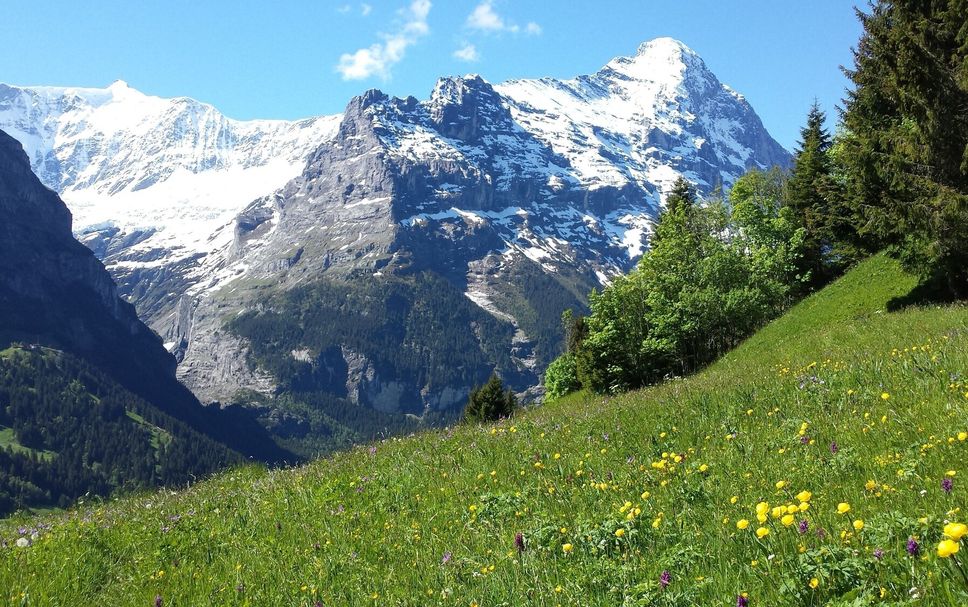 Außenansicht Foto