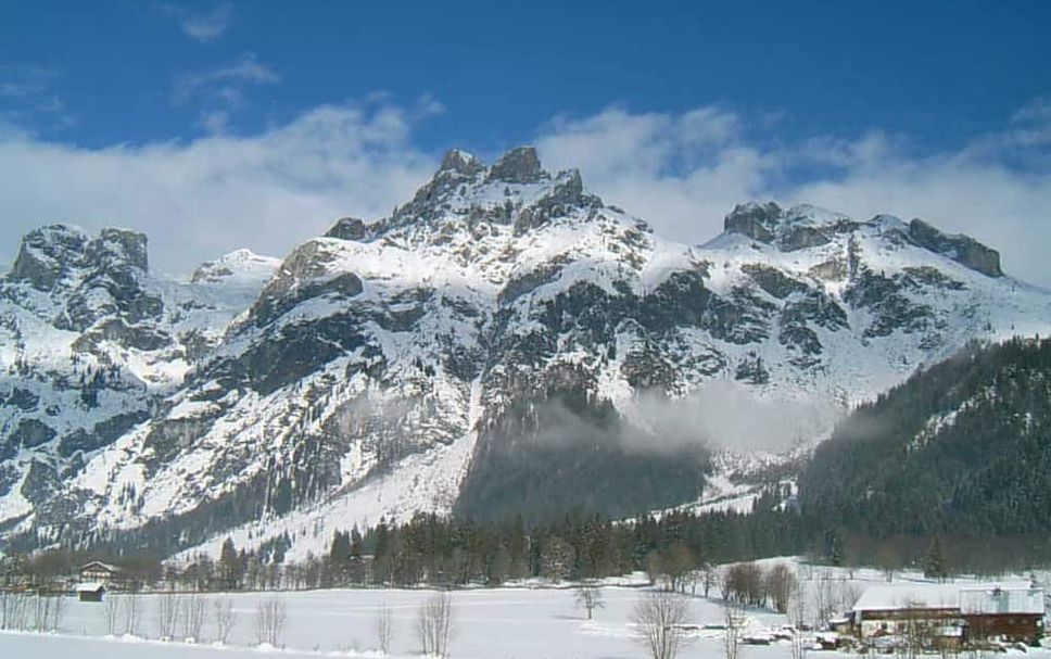 Sonstige Foto