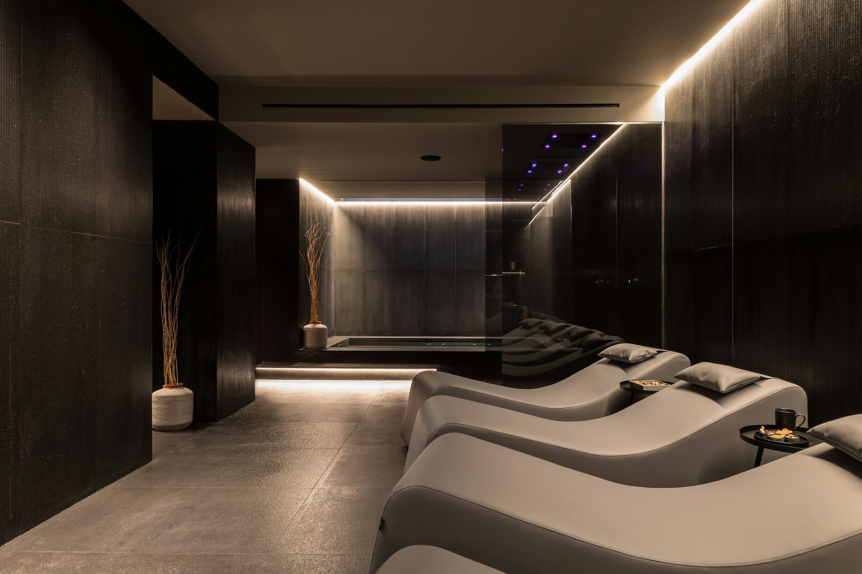 Wellness