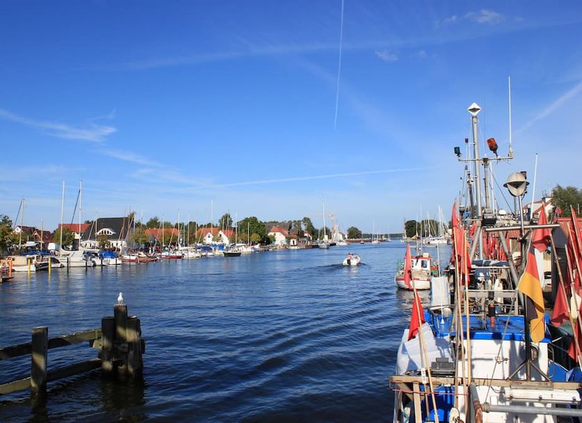 Sonstige Foto