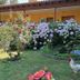 Sonstige