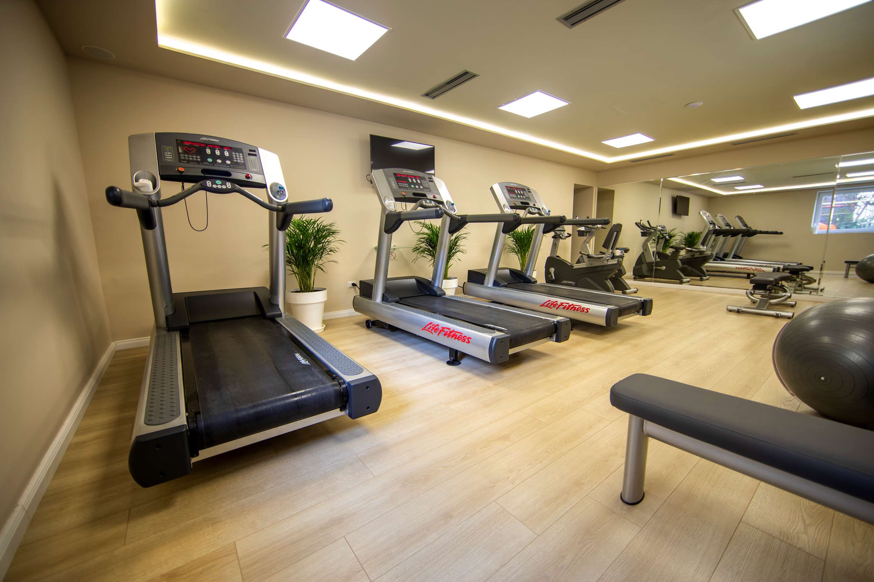 Fitnessbereich