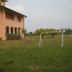Sonstige