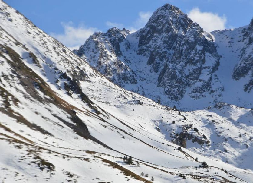 Sonstige Foto