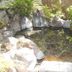 Sonstige