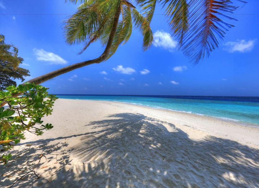 Strand Foto