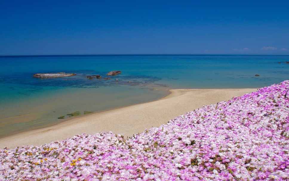 Strand Foto