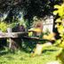 Innenhof