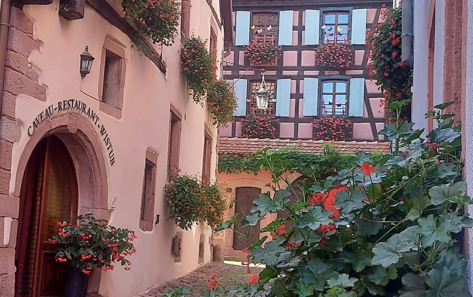 Sonstige Foto