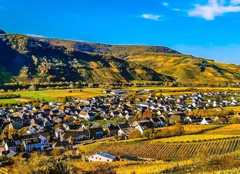 Sonstige Foto