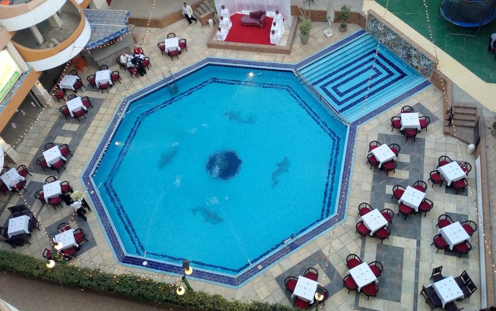 Pool Foto
