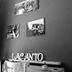 Sonstige