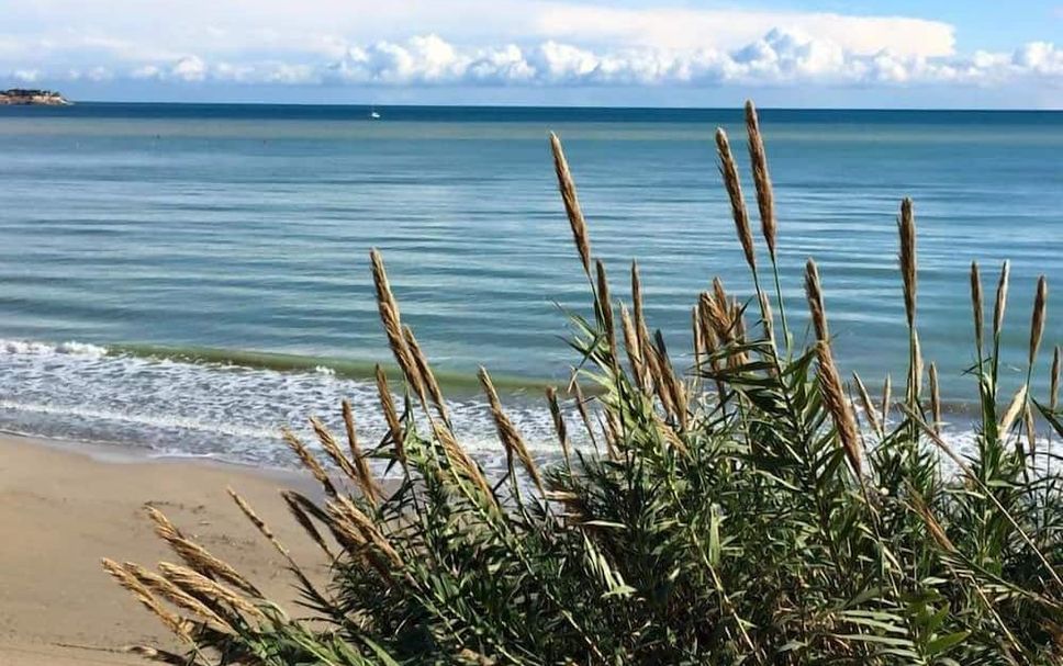 Strand Foto