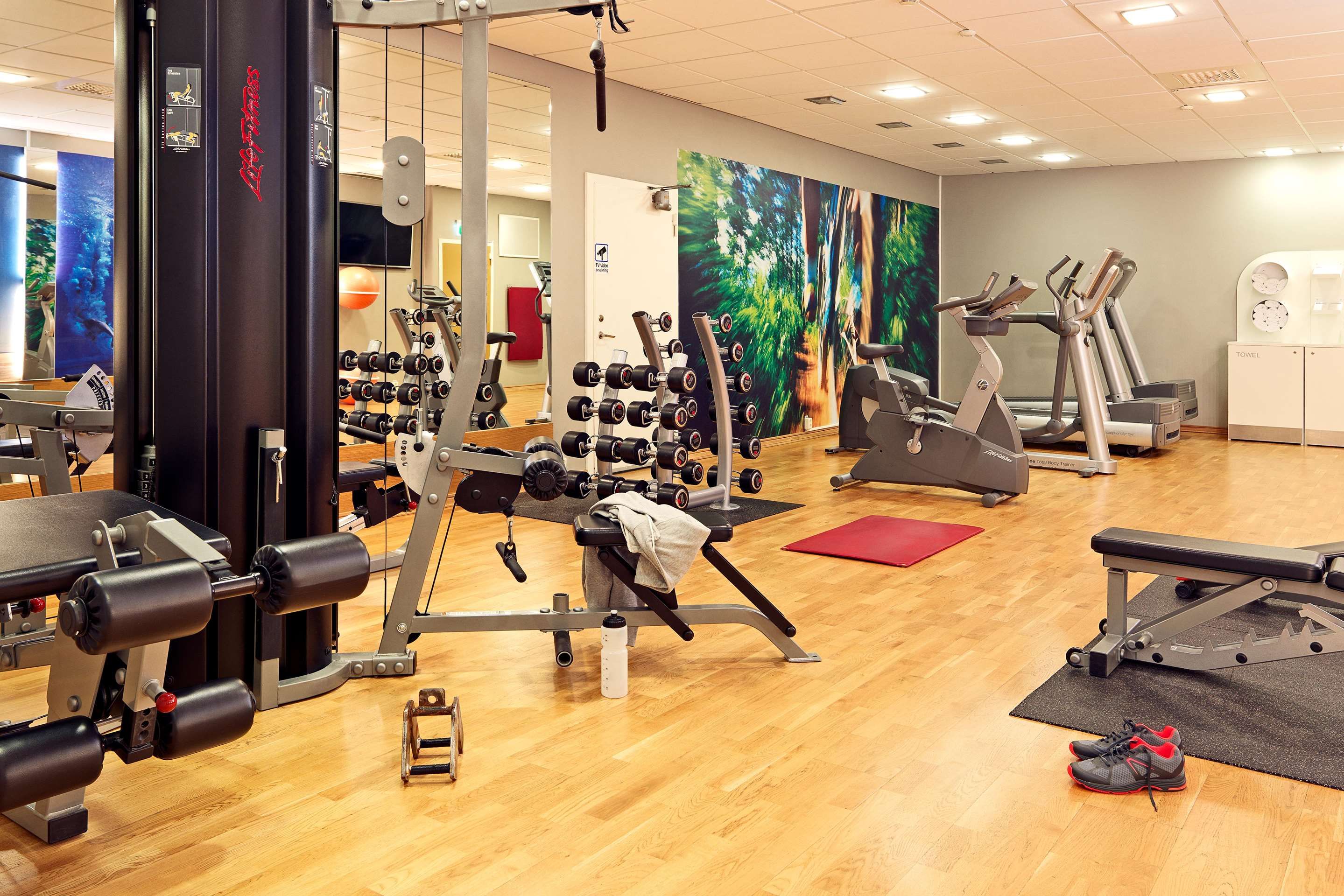 Fitnessbereich