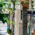 Sonstige