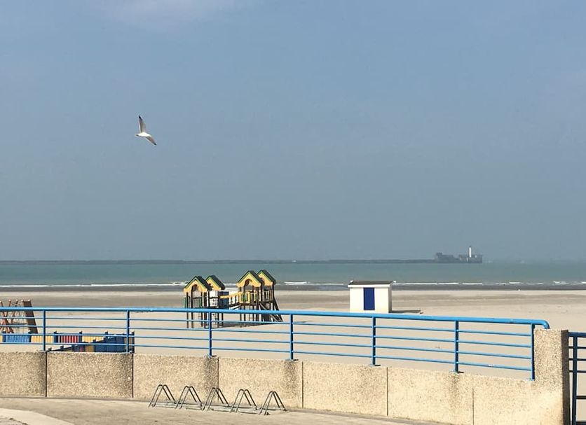 Strand Foto