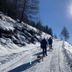 Sonstige