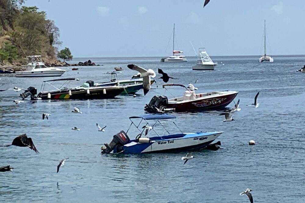 Sonstige