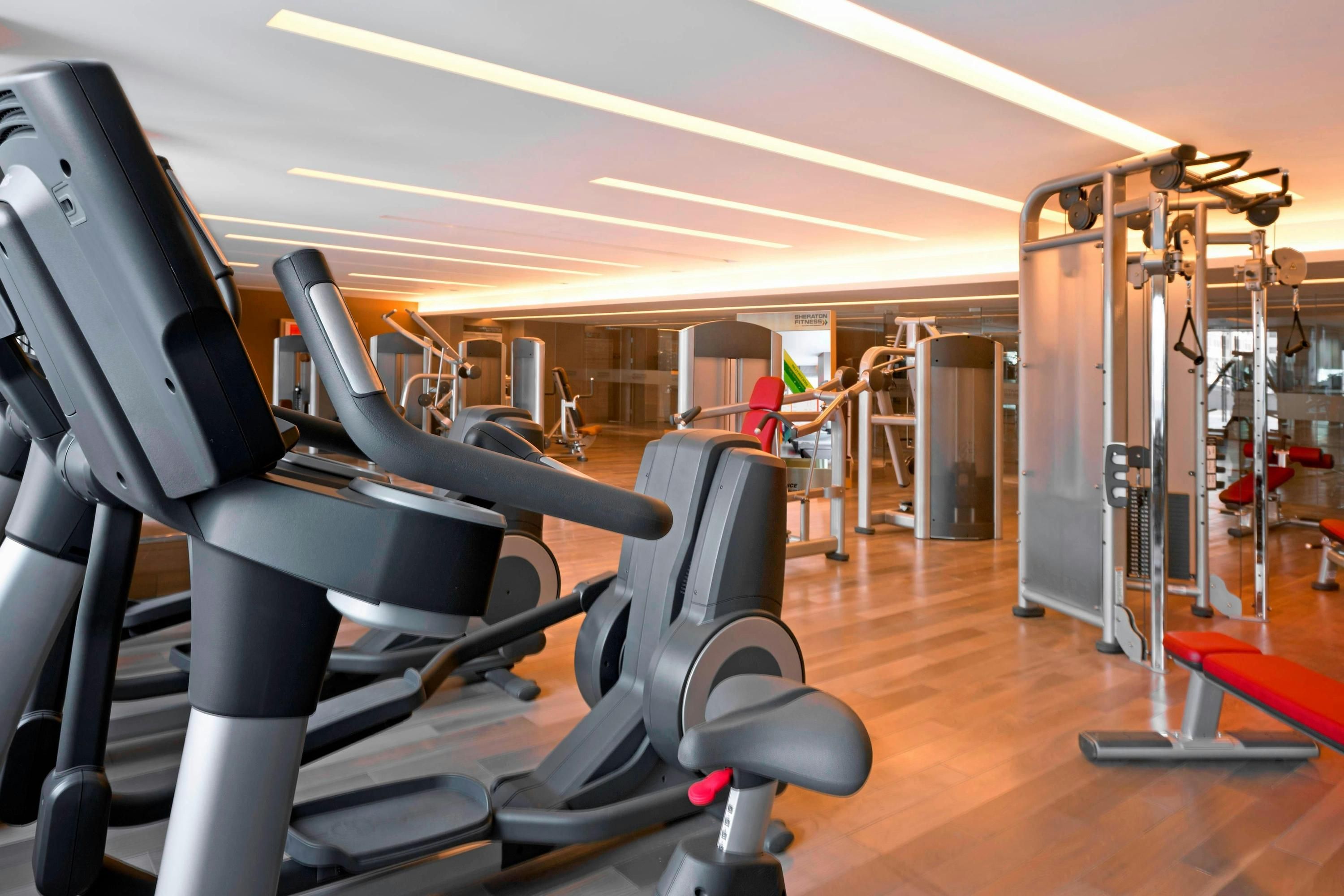 Fitnessbereich