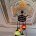 Sonstige