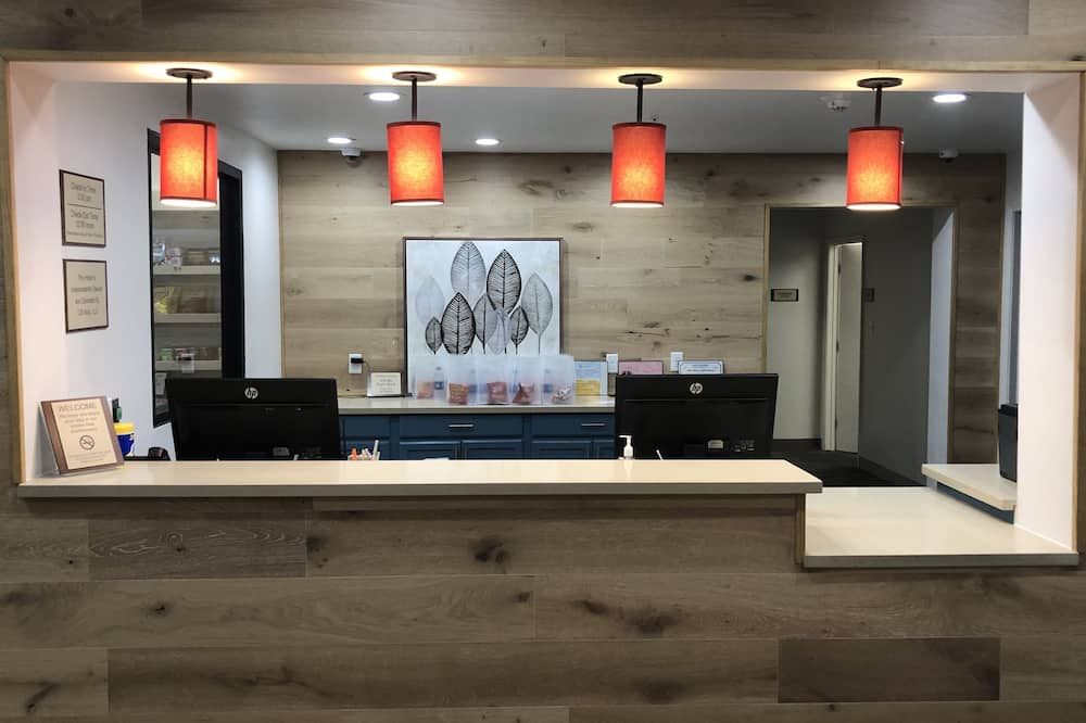 Rezeption