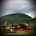 Sonstige