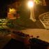 Sonstige