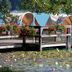 Sonstige